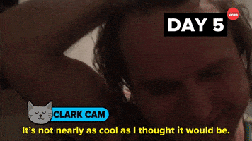 International Cat Day Cats GIF by BuzzFeed