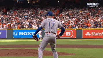 Major League Baseball Sport GIF by MLB