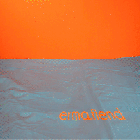 stop motion animation GIF by erma fiend