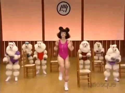 Workout Poodle GIF