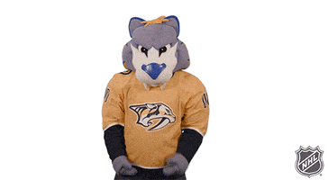 Ice Hockey Thumbs Up GIF by NHL