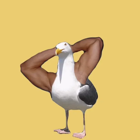 Workout Gym GIF