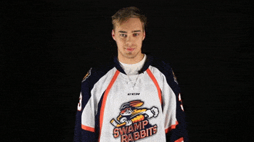 fist bump GIF by Greenville Swamp Rabbits