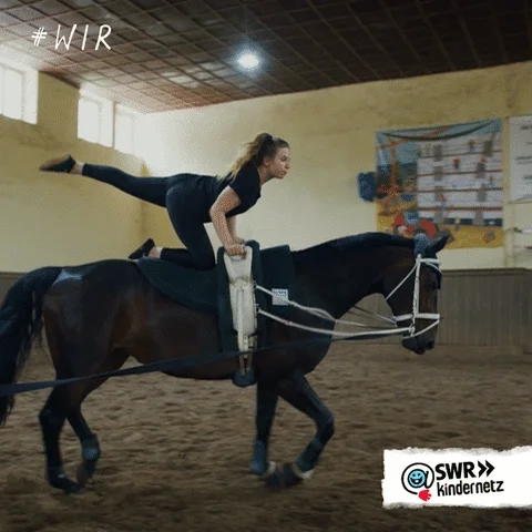 Workout Horse GIF