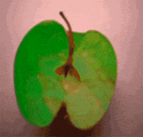 video art love GIF by Ryan Seslow