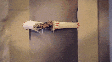 baseball smash GIF by Digg