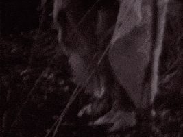 sad old school GIF by Slow Dancer