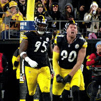 Celebrate Lets Go GIF by Pittsburgh Steelers