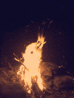 burning camp fire GIF