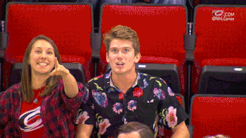 hockey celebrating GIF by Carolina Hurricanes