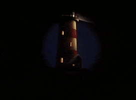 200.gif