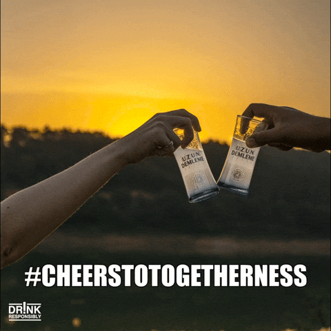 Giphy - Drink Cheers GIF by yenirakiglobal