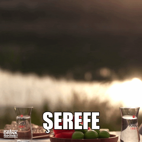 Giphy - Friends Drinking GIF by yenirakiglobal