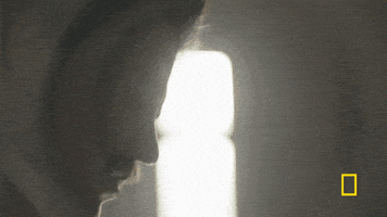 genius tv GIF by National Geographic Channel