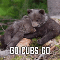 Chicago Cubs Sport GIF by Sealed With A GIF