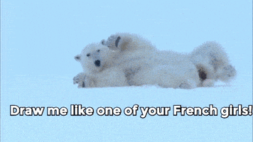 Draw Me Polar Bear GIF