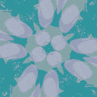 loop flower GIF by Njorg