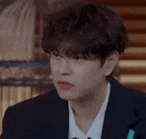 Stray Kids Skz GIF