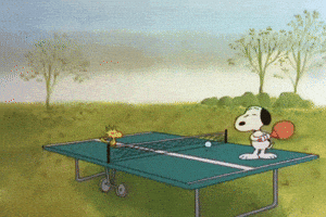 Charlie Brown Thanksgiving GIF by Peanuts
