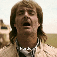Episode 1 Pardon GIF by MacGruber