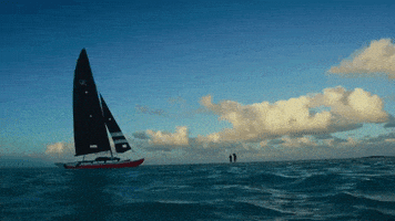 Surfing Hawaii GIF by 50statesproject