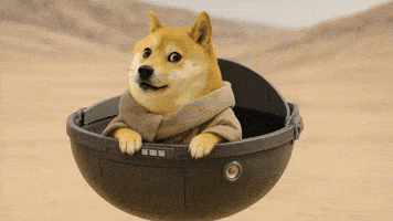 Star Wars Doge GIF by LitVM