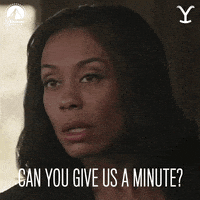 Please Hold Paramount Network GIF by Yellowstone