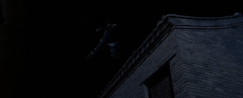 GIF by Crouching Tiger, Hidden Dragon GIF by Crouching Tiger, Hidden Dragon