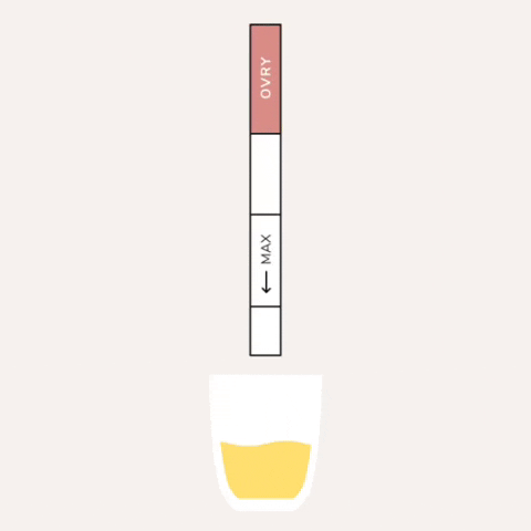 Giphy - Women Pregnancy Test GIF