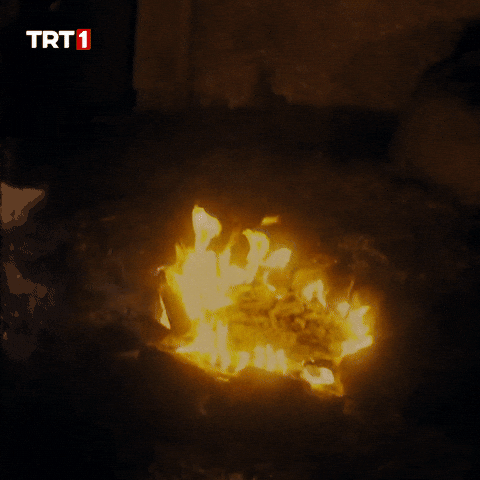 Giphy - Summer Fire GIF by TRT