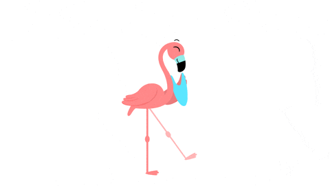 Giphy - 