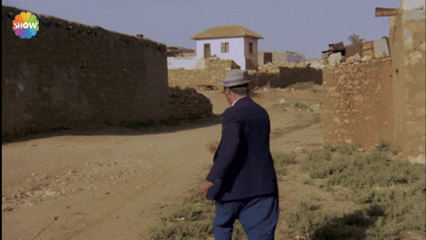 Giphy - Sener Sen Kibar Feyzo GIF by Show TV