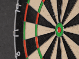 Spot On Van Gerwen GIF by VNOM Technisch Uitzendbureau | We get the job done Spot On Van Gerwen GIF by VNOM Technisch Uitzendbureau | We get the job done