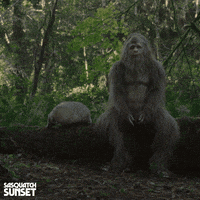 Jesse Eisenberg Bigfoot GIF by Bleecker Street