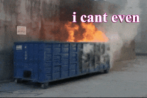 Dumpster Fire GIF