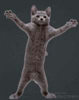 200.gif