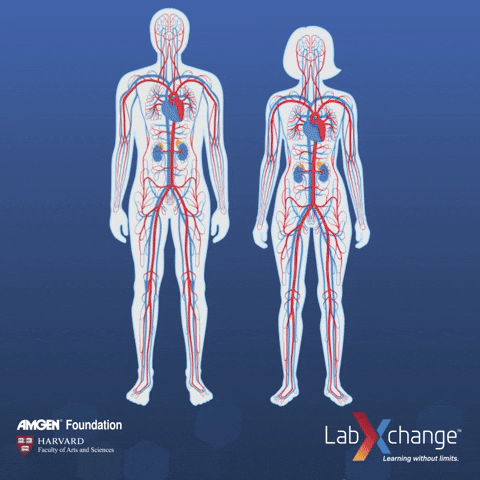 labxchange  GIF
