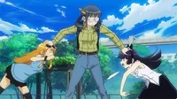 Catfight GIF
