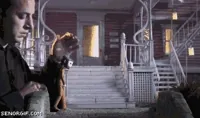 Anyone GIF