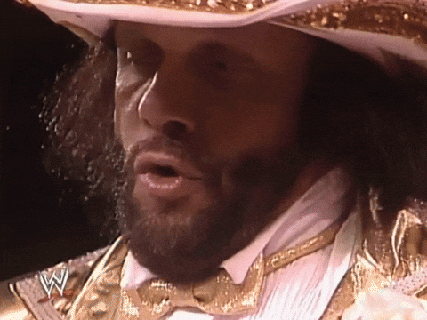 wwe  GIF