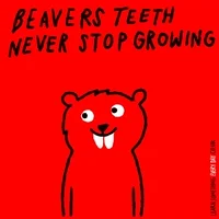 Teeth Wtf GIF by Learn Something Every Day