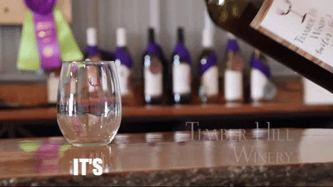 Wine Tasting GIF by Timber Hill Winery