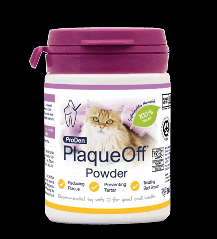 plaqueoffuk  GIF