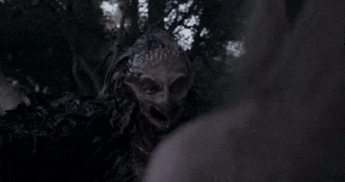 Halloween Bird GIF by Crypt TV