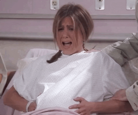 friends  GIF