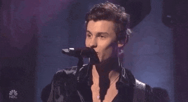 shawn mendes snl GIF by Saturday Night Live