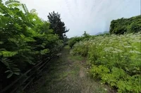 South Korea Dog GIF by Mashable