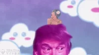 Donald Trump GIF by Mike Diva