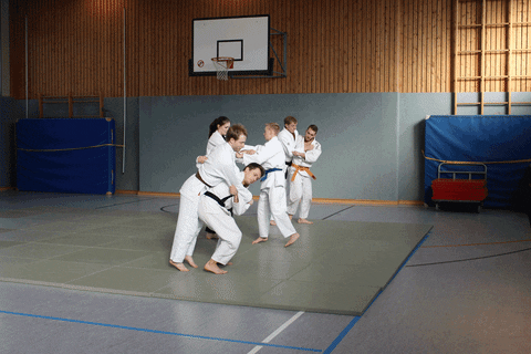 redtigerclub  GIF