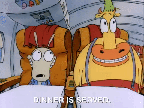 rockos modern life nicksplat GIF